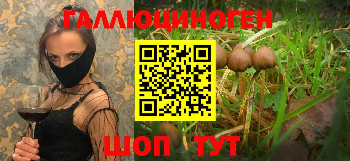 Галлюциногенные грибы GOLDEN TEACHER Ялта