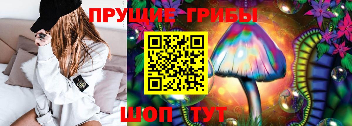 Псилоцибиновые грибы прущие грибы  Вход с VPN  Ялта  магазин  наркотиков  Псилоцибиновые грибы ЛСД 